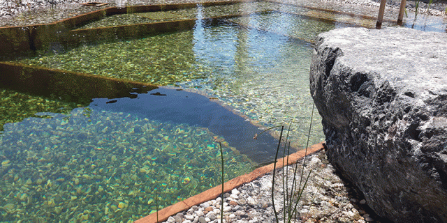 Biopool, Schwimmteich mit Sprungstein