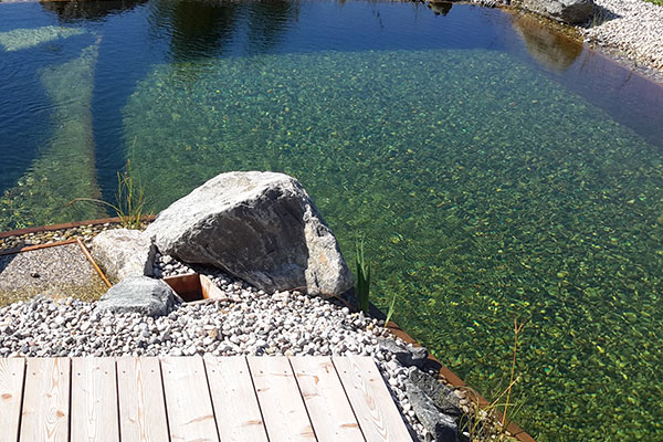 Biopool mit kristallklarem Wasser